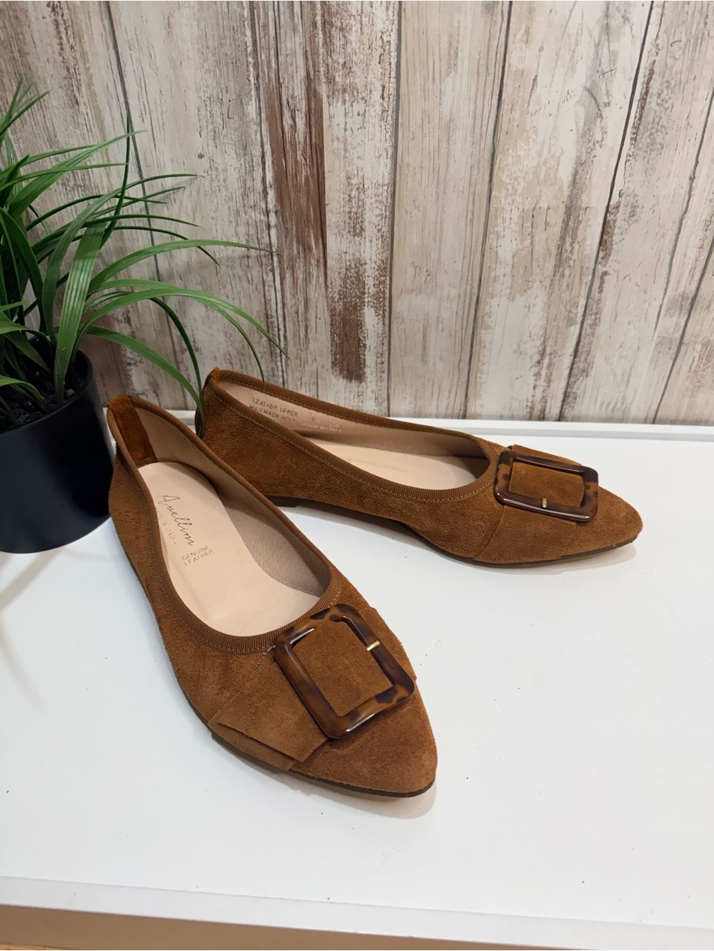 Avellini Italy Camel Suede Pointed Toe Flats Tortoise Shell Buckle US 9